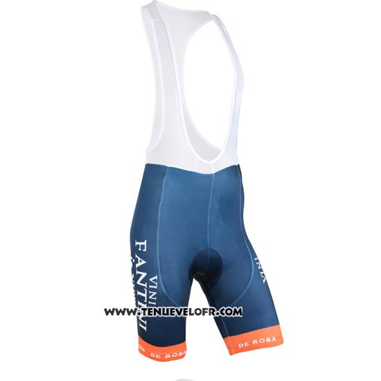 2015 Maillot Ciclismo Vini Fantini Orange et Bleu Manches Courtes et Cuissard